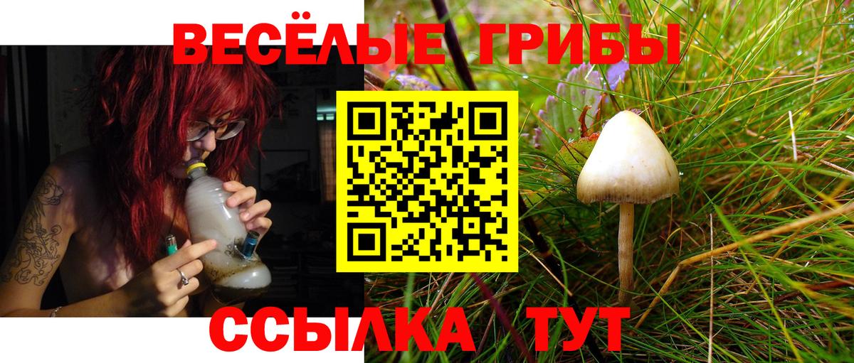 Галлюциногенные грибы прущие грибы Александров