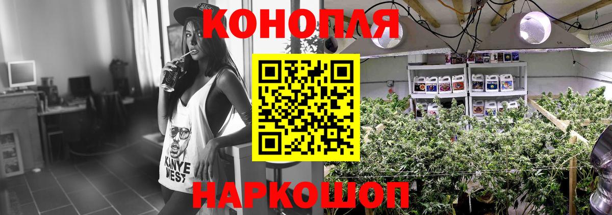 Бошки Шишки White Widow  Вход с VPN  Александров  Бошки марихуана White Widow 
